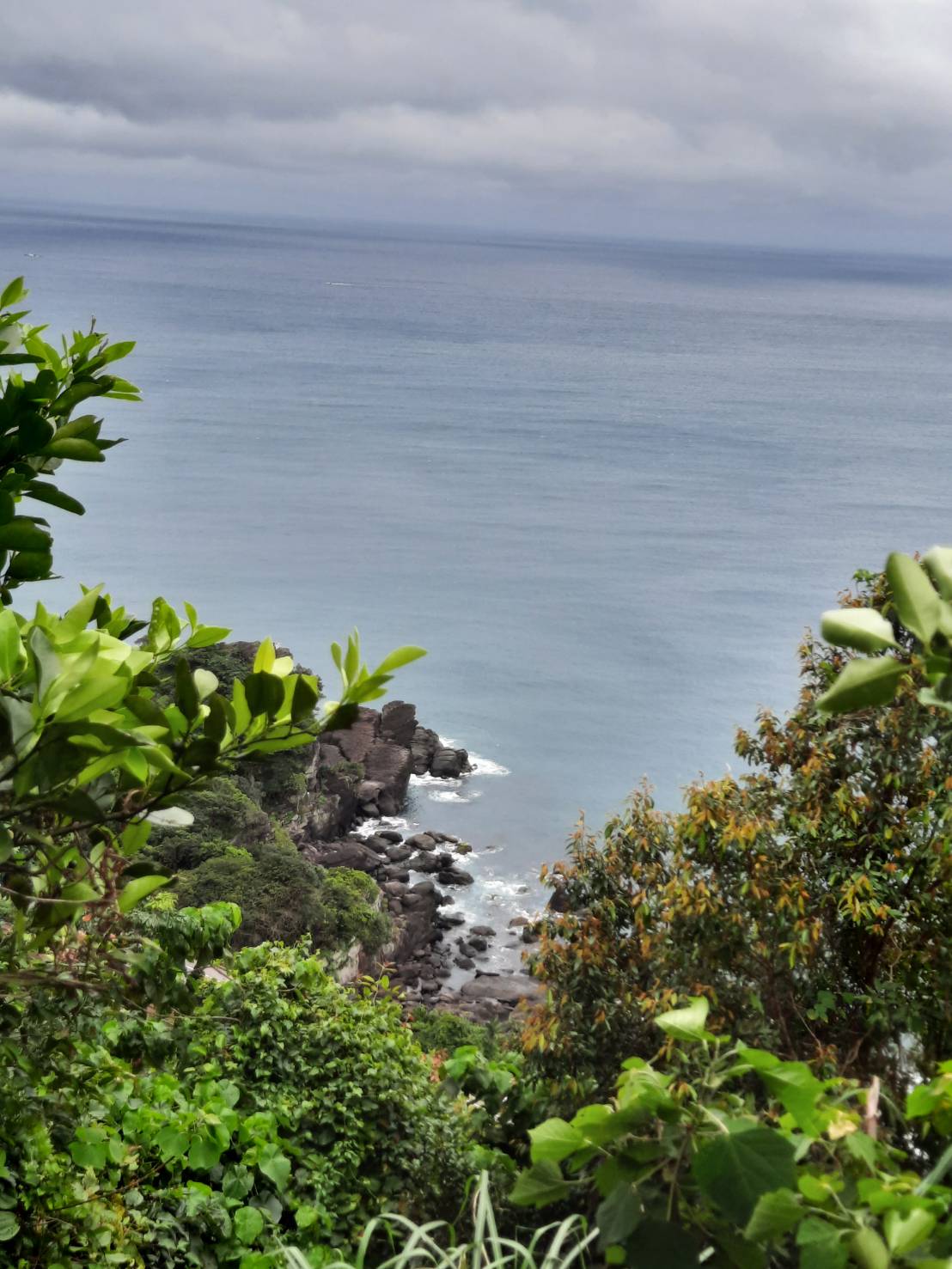 今天要寫一篇long story~從一根繩子到一條綠帶的這些年