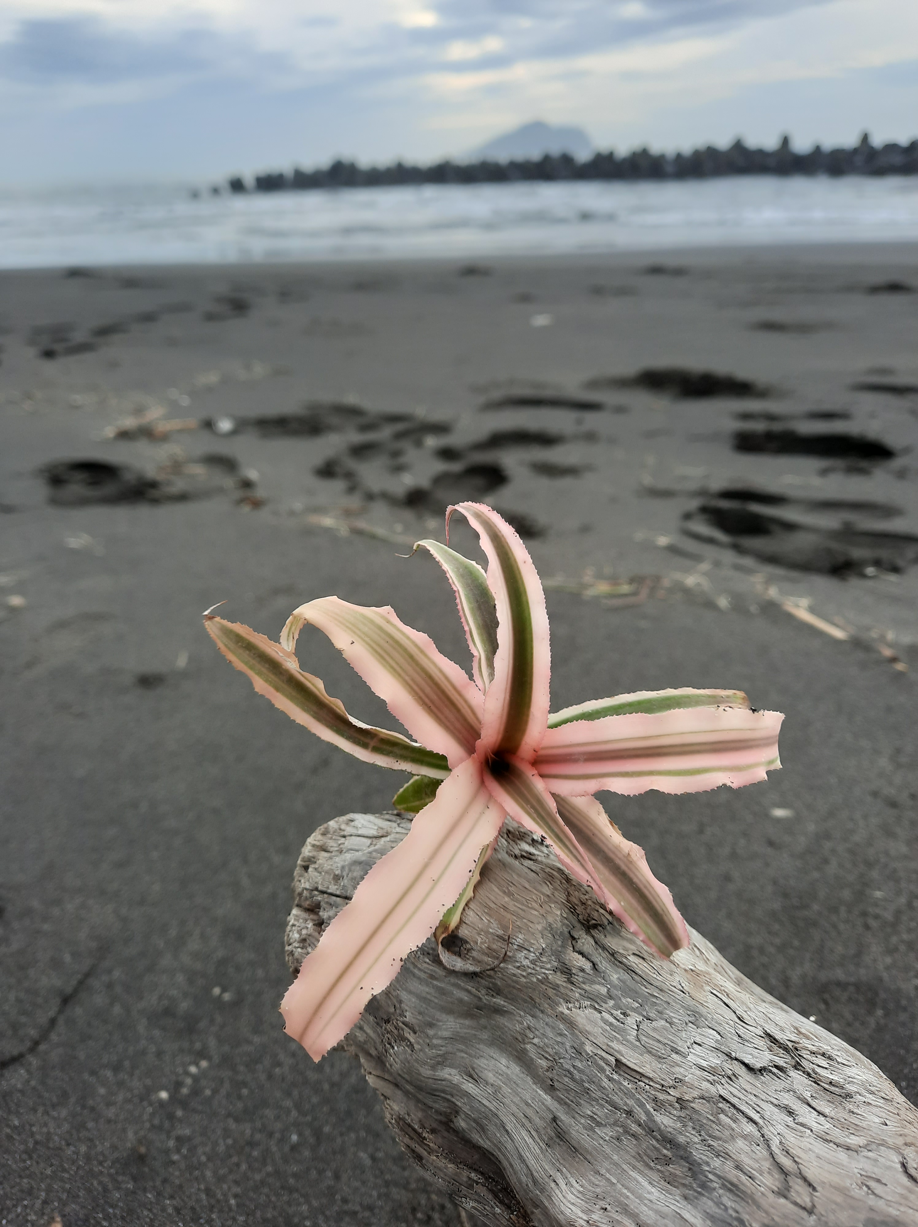 好久沒複習了-太極十三式