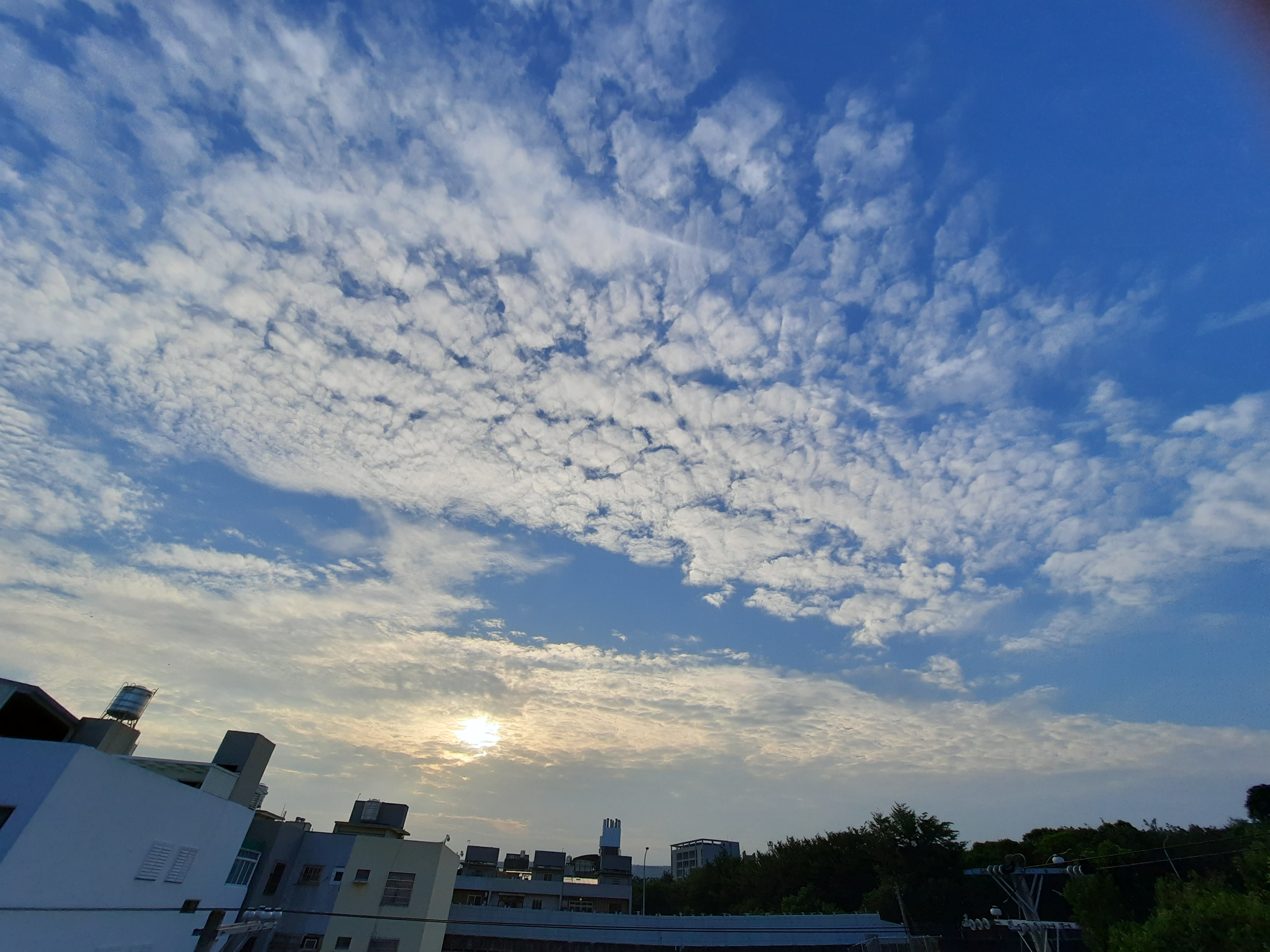 在日出太極線上課的那三個月裡During that time we practiced TaiChi GongFa every morning.(part1)