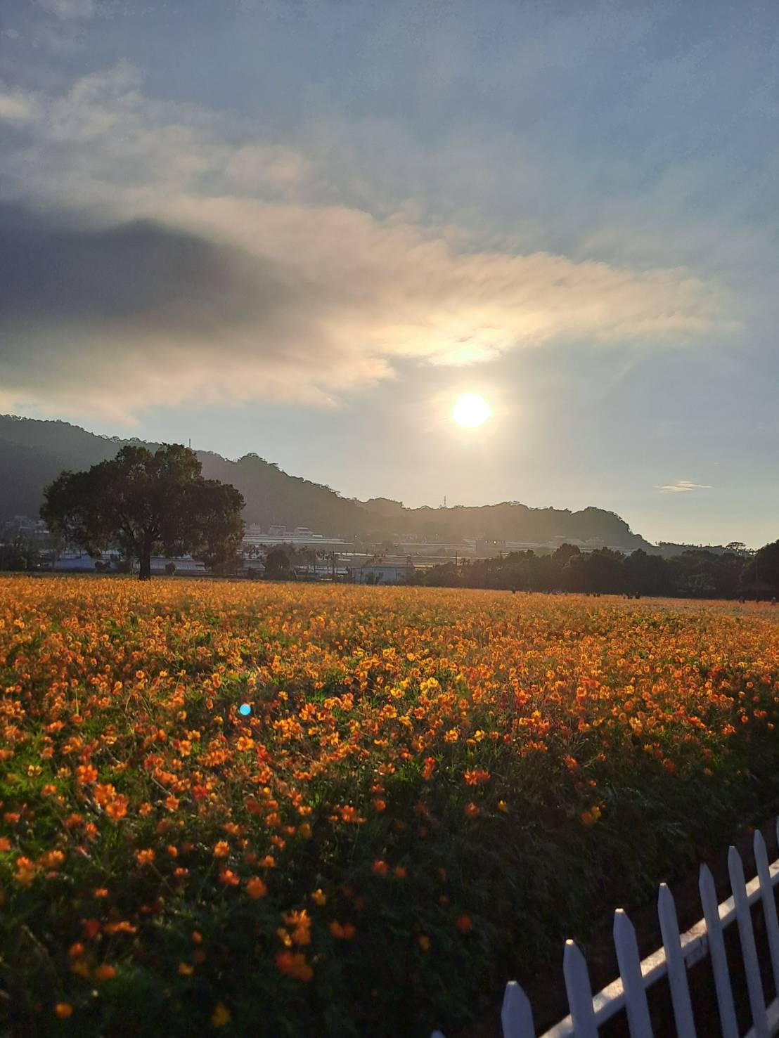 受保護的內容: 第一次的復健是八年斷病灶